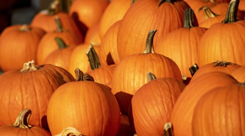 Great October Activities in the Area